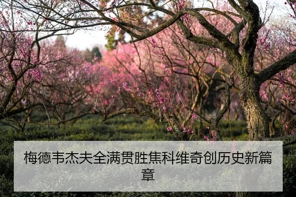 mei-de-wei-jie-fu-quan-man-guan-sheng-jiao-ke-wei-qi-chuang-li-shi-xin-pian-zhang-1-919.jpg