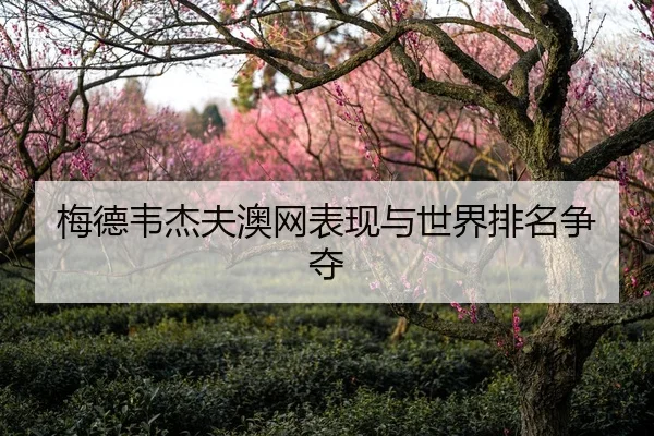 梅德韦杰夫澳网表现与世界排名争夺