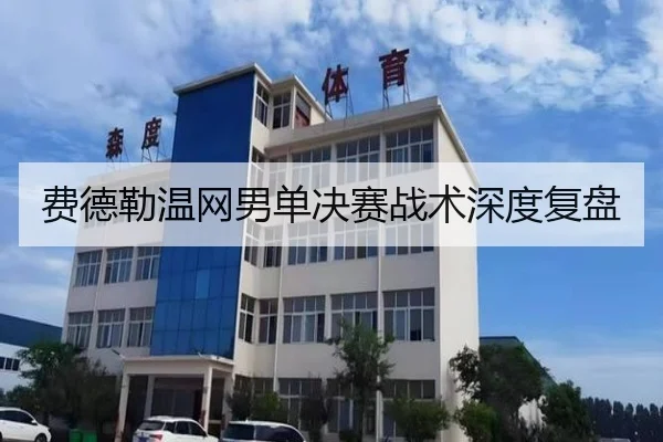费德勒温网男单决赛战术深度复盘
